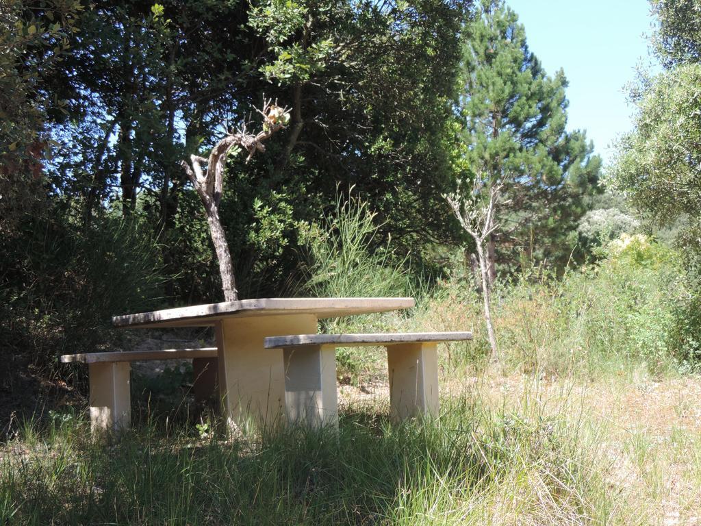 Hôtel Les deux lions à Alairac Extérieur photo